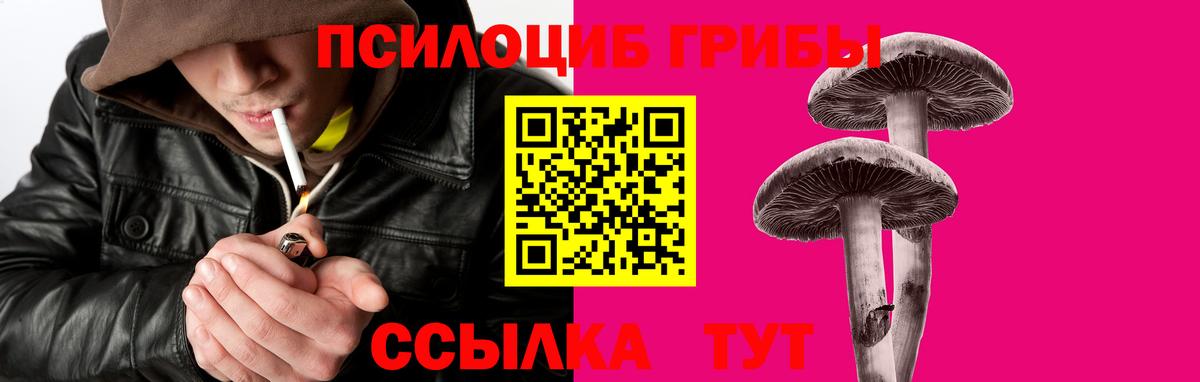 Псилоцибиновые грибы Cubensis  Вход с VPN  Кубинка  Псилоцибиновые грибы Psilocybine cubensis 